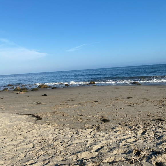 Meet your Posher, Bre - Picture 1 of 1